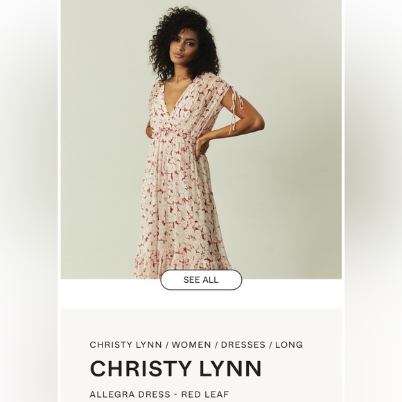 Christy Lynn Allegra Silk Chiffon Maxi Dress Red Leaf Women's Large - Picture 3 of 9